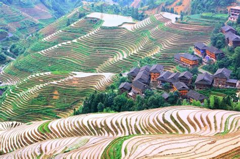 the rice terraces in Longsheng, Guilin, China | China image, Guilin ...