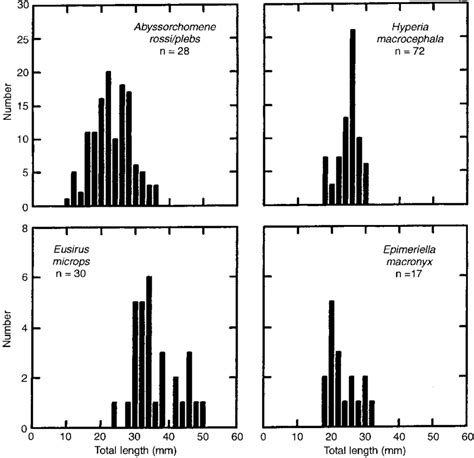 Aptenodytes forsteri. Numerical distribution of total length of ...