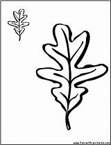 Oak Leaves And Acorns Coloring Page Sketch sketch template