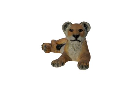 Life-size Lion Cub - Lying Down - Event Décor And Prop Rental