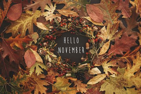 "Hello November" stock photos and royalty-free images, vectors and illustrations | Adobe Stock