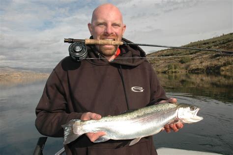 Tribe releases 12,900 triploid trout in Rufus Woods | The Spokesman-Review