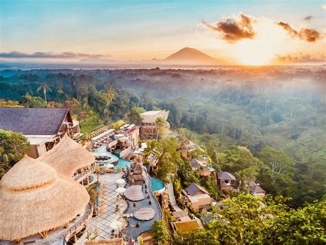 5 of the BEST luxury resorts in Ubud, Bali! | Little Grey Box | Jungle resort, Ubud resort, Ubud ...