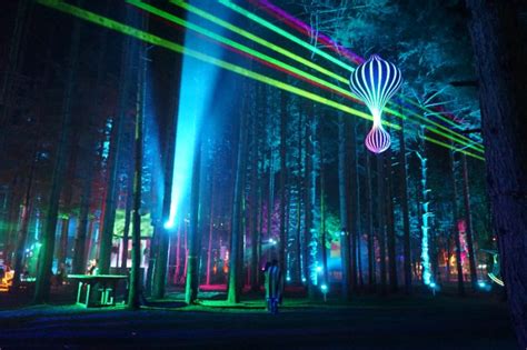 25 Glorious Electric Forest Art Installations