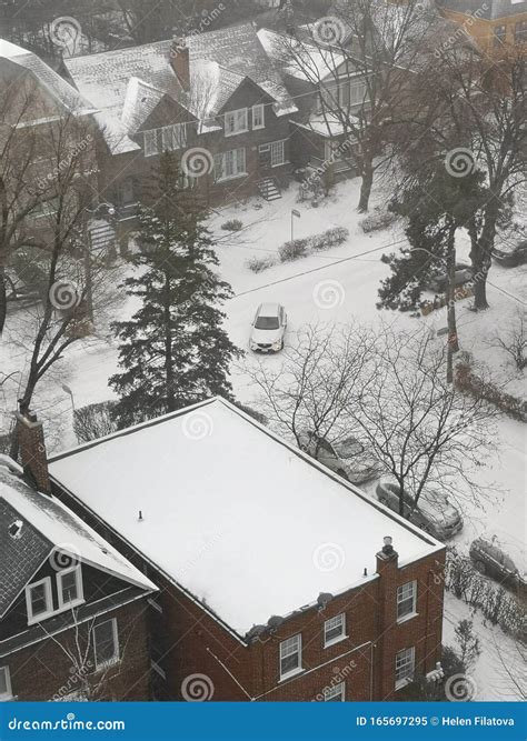 Snow storm in Toronto stock image. Image of ontario - 165697295