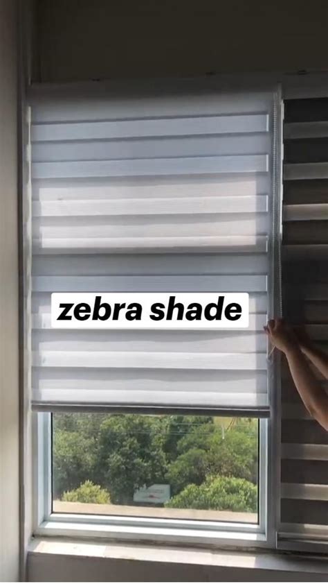 zebra shade | Zebra shades, House window design, Window coverings diy