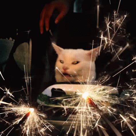 Cat Fireworks Meme