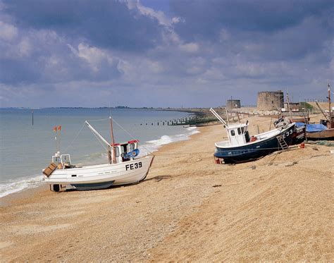 Pin by Jill Elvy on Local | Romney marsh, England travel, New forest