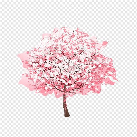 Watercolor Cherry Blossom Tree Png