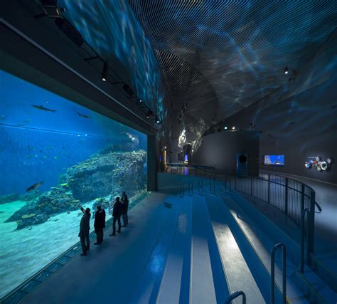 Gallery of Building Wonder: Global Aquariums Capture a Blue World - 1