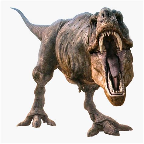 Dinosaur Png Image - T Rex Png Transparent, Png Download - kindpng