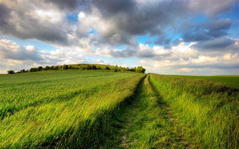 Chemin Fond d'écran HD | Arrière-Plan | 1920x1200 | ID:370691 - Wallpaper Abyss