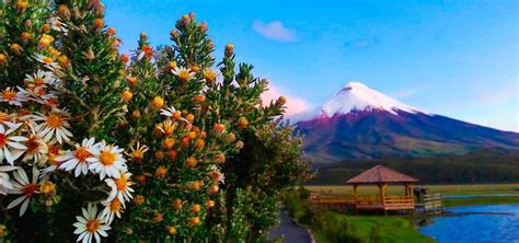 Cotopaxi Tour - Quito Tour Bus