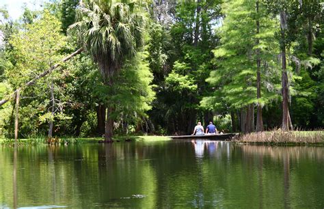 Mead Botanical Garden Orlando Florida - Home Garden