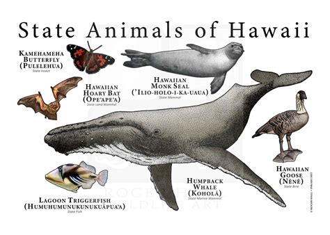 Hawaii State Animals Poster Print | Etsy