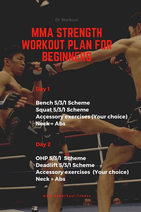 MMA Strength Workout Plan for Beginners | Workout plan for beginners ...