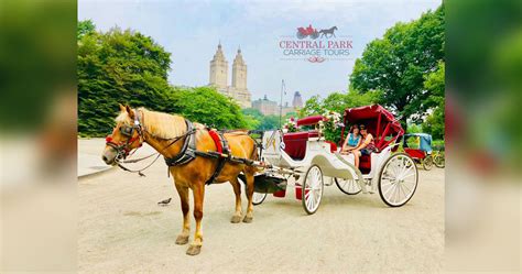 Central Park Carriage Tours | NYC Horse & Carriage Rides