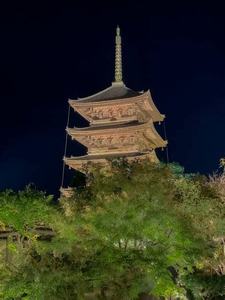 Toji Pagoda Pics Stock Photos, Pictures & Royalty-Free Images - iStock