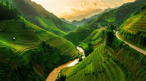 Vietnam Nature Pictures | Download Free Images on Unsplash