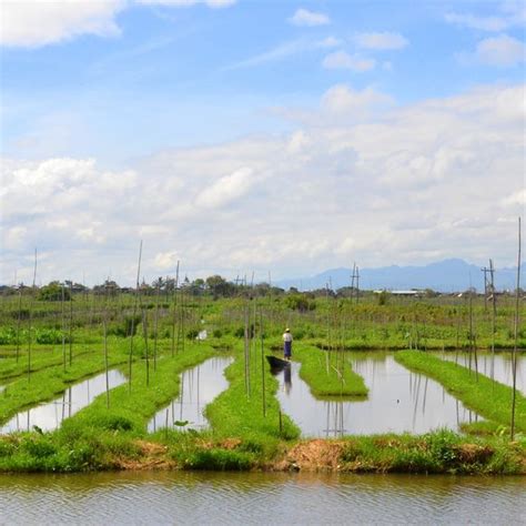 Floating Gardens of Inle Lake – Taunggyi, Myanmar (Burma) - Gastro Obscura