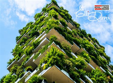 Vertical Forests Eco Friendly High Rise Buildings | Elli Davis Real Estate