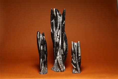 Orthoceras, Sculptures