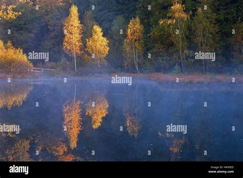 Germany, Schleswig-Holstein, Lauenburg Lakes Nature Park, Grundloser Kolk Stock Photo - Alamy