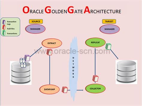 What is Oracle GoldenGate? - ORACLE-SCN