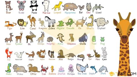 Wild Animals Names | List of 100+ Wild Animals in English • 7ESL