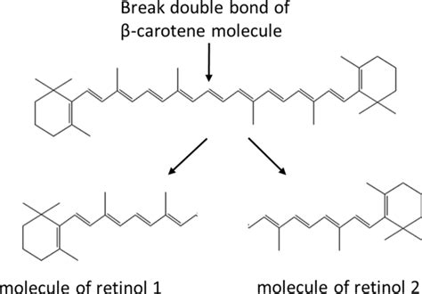 Chemical structure of β-carotene | Download Scientific Diagram