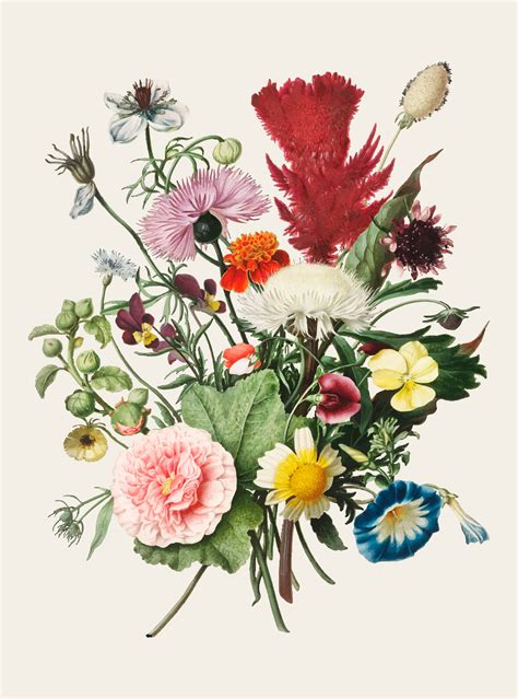 Vintage illustration of Bouquet of Flowers - Download Free Vectors, Clipart Graphics & Vector Art