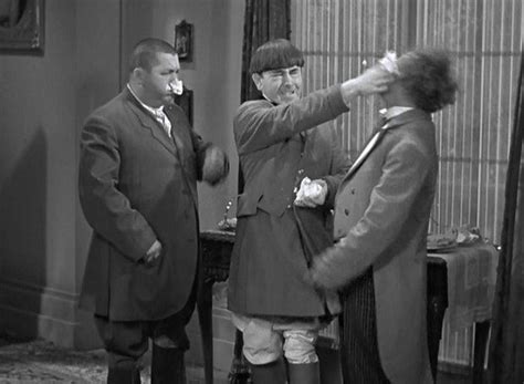 From "Ants In The Pantry". LOVE Curly's expression here! | The three stooges, The stooges, Guys