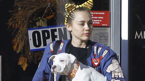 Miley Cyrus Adds Another Pup To Her Animal Fam! | Miley Cyrus | Just Jared: Celebrity News and ...