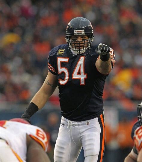 Urlacher | Chicago bears football, Football, Chicago sports teams