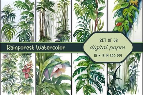 Rainforest Watercolor Illustrations Graphic by GFX Ground · Creative ...