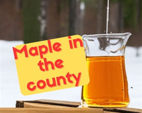 Maple in the County Explained