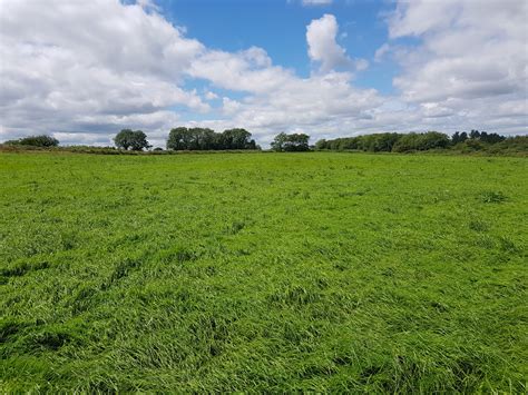 Long grass – field - Harty Auctioneers