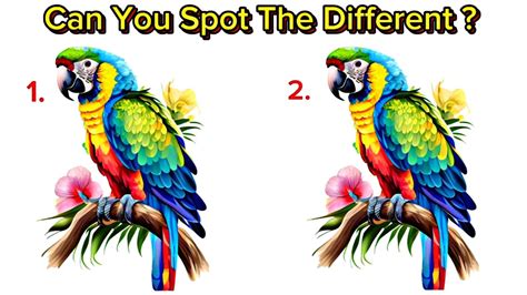 Can You Spot The Different Of Various Types Of Birds #different #puzzle #findoddoneout #animals ...