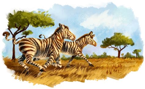 Galloping Zebras by Nalak-Bel on DeviantArt