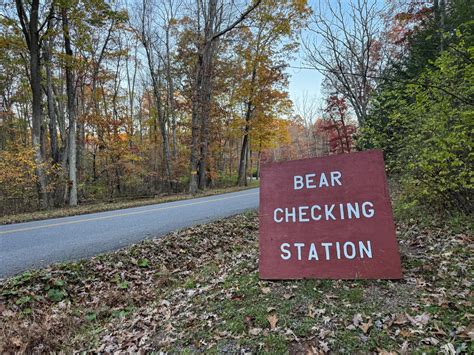 Maryland’s bear-hunting season opens with gusto, and concern | Committee to Abolish Sport ...