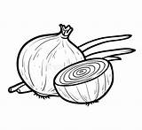 Coloring Book White onion Stock Vector Illustration Of Garden  111201954 sketch template
