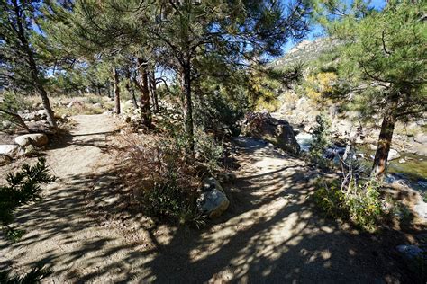 Arkansas River Trail Hike | Outdoor Project