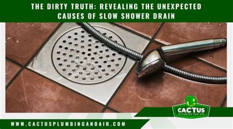 Slow Shower Drain Causes: What You Need to Know