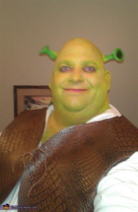 Homemade Fiona and Shrek Costume - Photo 3/4