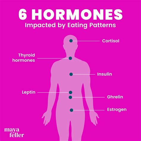 Estrogen Foods, Low Estrogen Symptoms, Thyroid Hormone, Hormone Imbalance, Leptin And Ghrelin ...