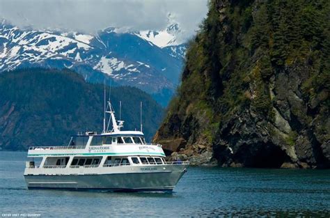 Kenai Fjords National Park Cruise from Seward | Kenai fjords, Kenai ...