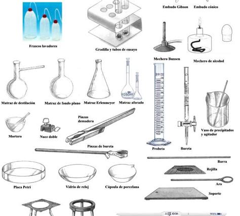 Biología: Instrumentos del Laboratorio de Biología