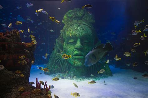 Visit SEA LIFE | Manchester Aquarium Trafford Palazzo