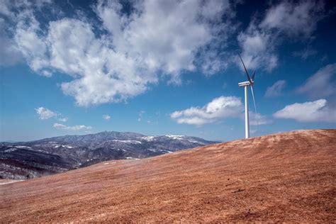 White Windmills · Free Stock Photo