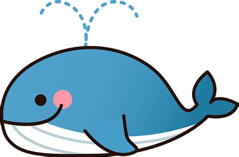 Whale clipart. Free download transparent .PNG | Creazilla